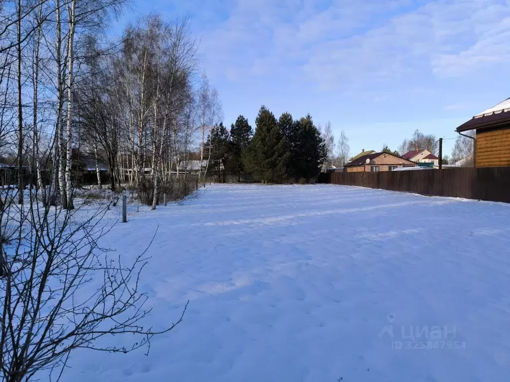 Участок в Московская область, Раменский муниципальный округ, с. ... - Фото 2