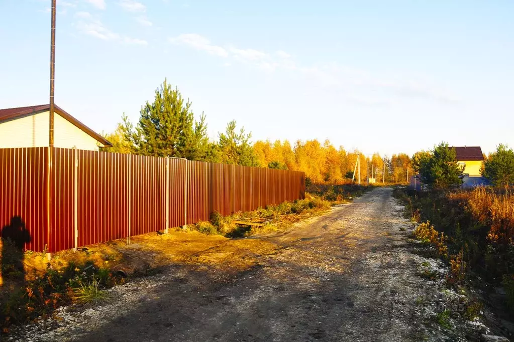 Участок в Московская область, Пушкинский городской округ, Софрино рп, ... - Фото 0