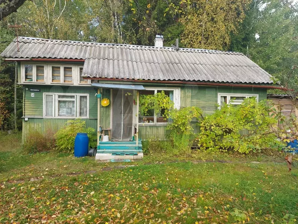 Купить Дачу Лужский Район Мшинская