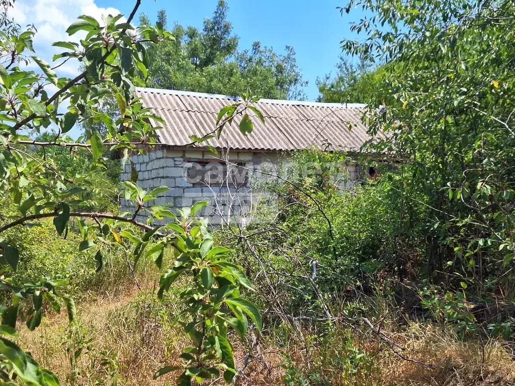 Участок в Севастополь с. Павловка, ул. Грушевая, 15 (15.0 сот.) - Фото 2
