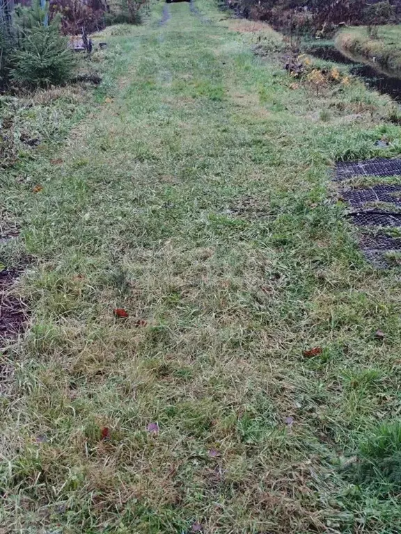 Дом в Ленинградская область, Волховский район, Кисельнинское с/пос, ... - Фото 0