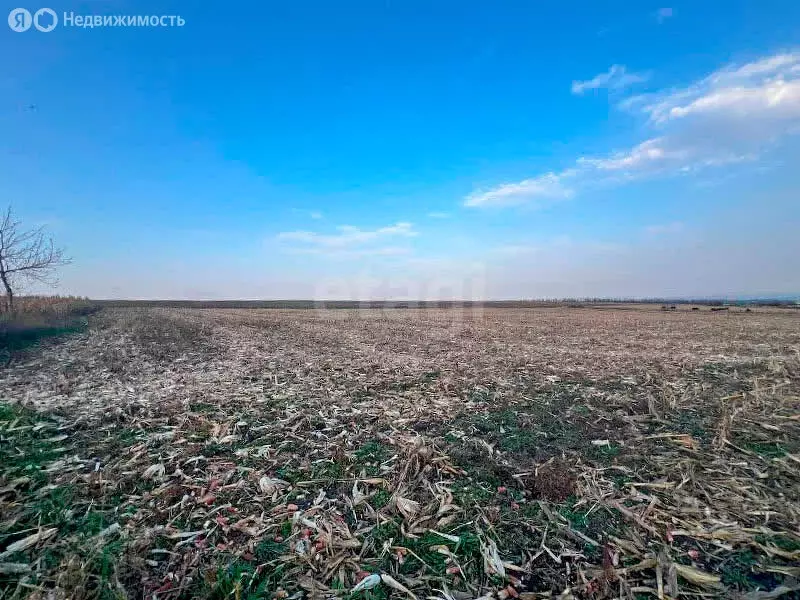 Участок в Залукодес, Степная улица (48 м) - Фото 2