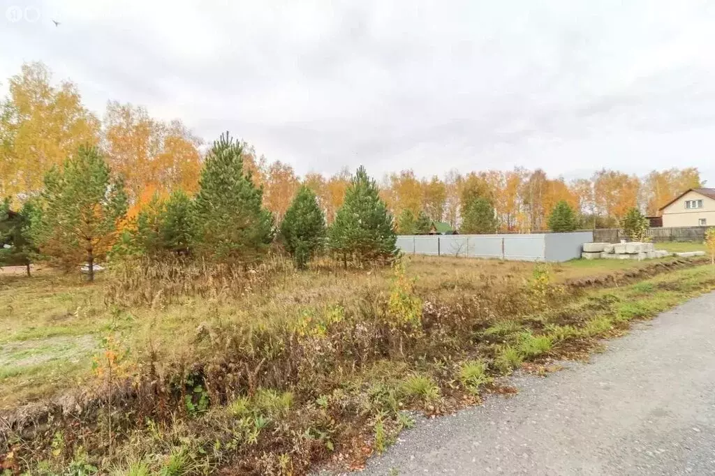 Участок в Тюмень, территория СОСН Солнечная Поляна, улица Поле Чудес ... - Фото 1