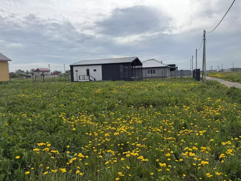 Участок в Ленинградская область, Ломоносовский район, Русско-Высоцкое ... - Фото 1