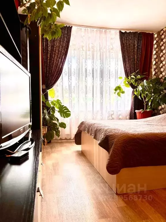 3-к кв. Псковская область, Псковский район, Завеличенская волость, д. ... - Фото 1