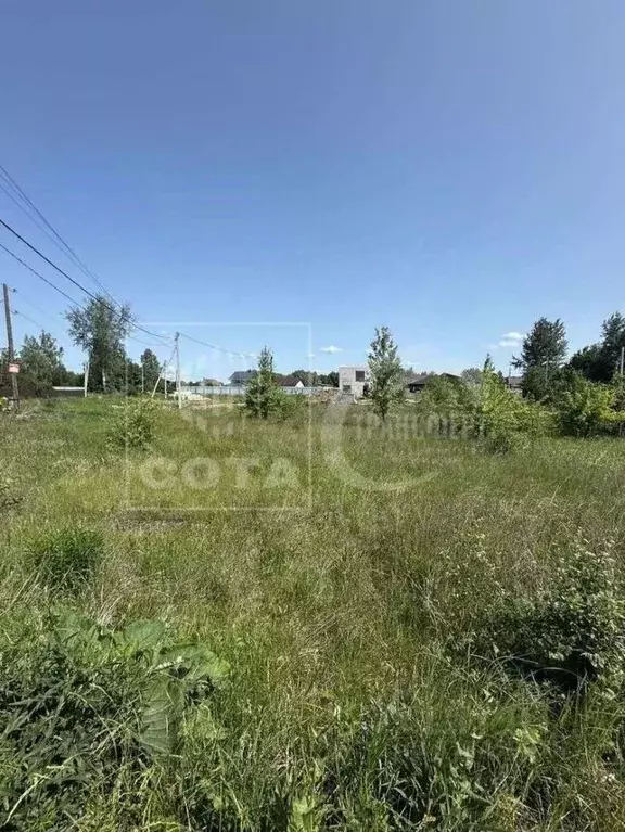 Участок в Воронежская область, с. Новая Усмань пл. Мира (12.0 сот.) - Фото 0