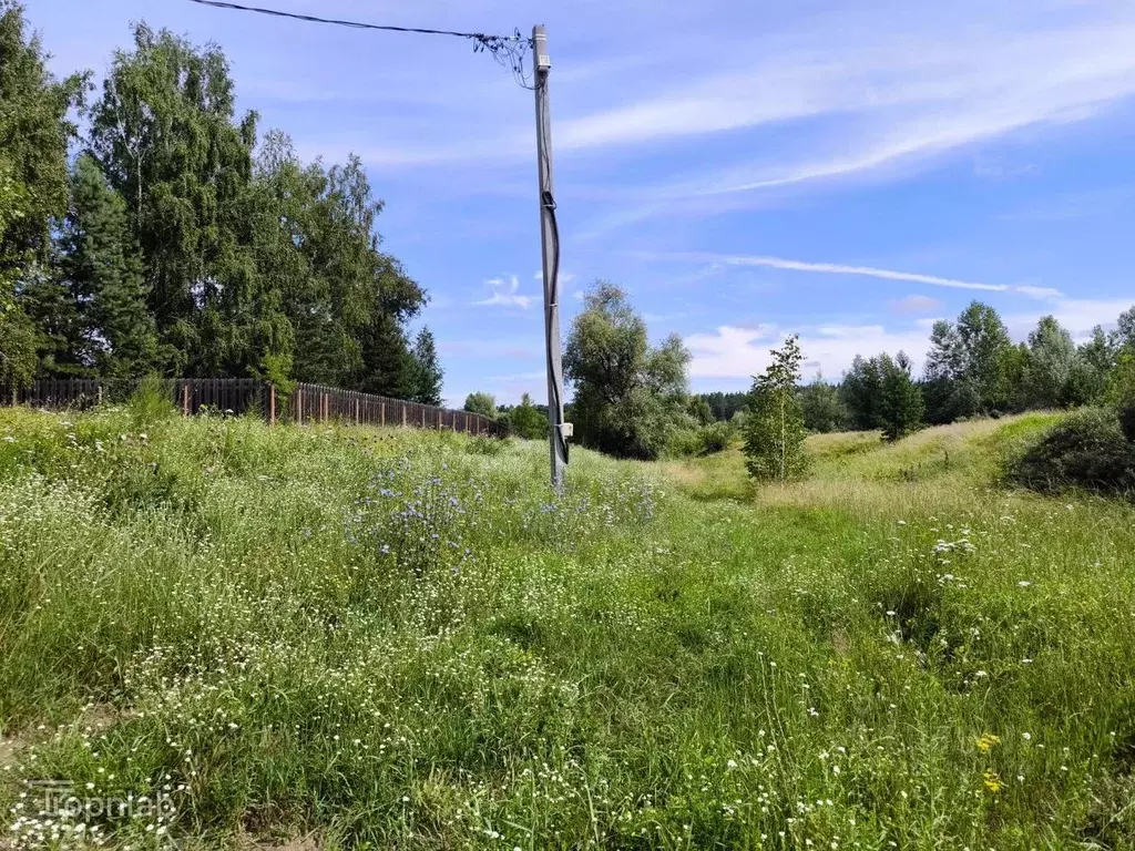 Участок в Алтайский край, Первомайский район, с. Бобровка, Березка мкр ... - Фото 1