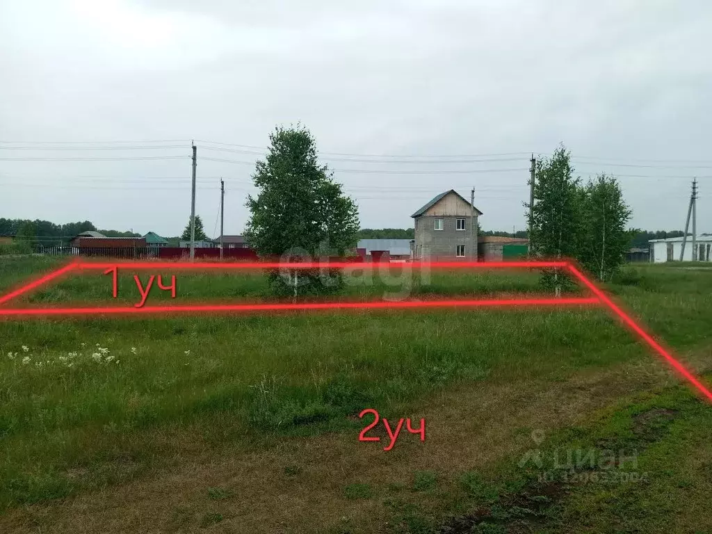 Участок в Новосибирская область, Колыванский район, с. Скала ул. 40 ... - Фото 1