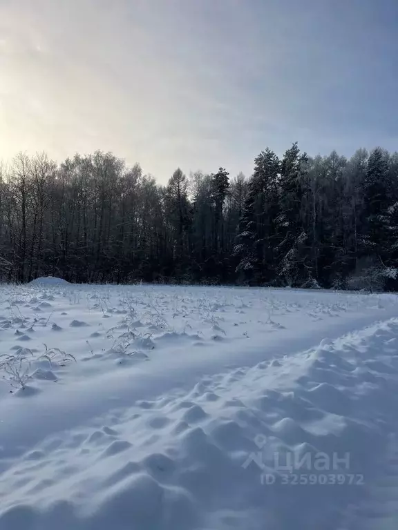 Участок в Московская область, Раменский муниципальный округ, ... - Фото 1