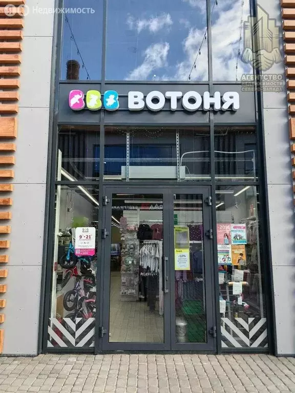 Помещение свободного назначения (249 м) - Фото 2