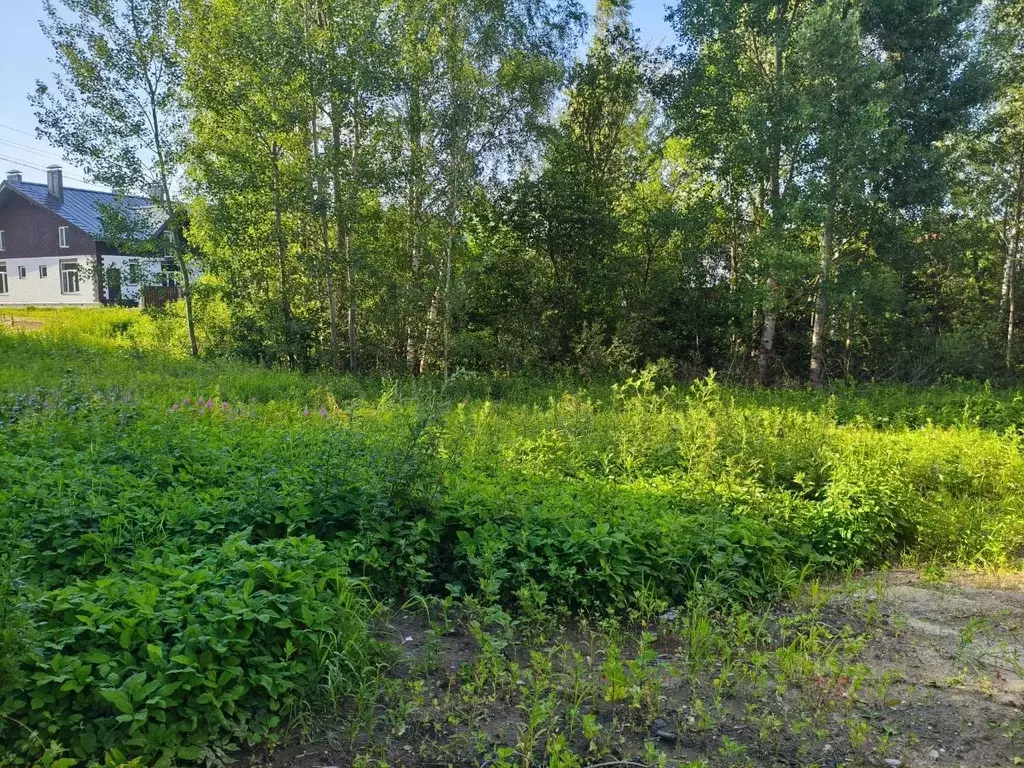 Участок в Московская область, Богородский городской округ, д. Боково  ... - Фото 0