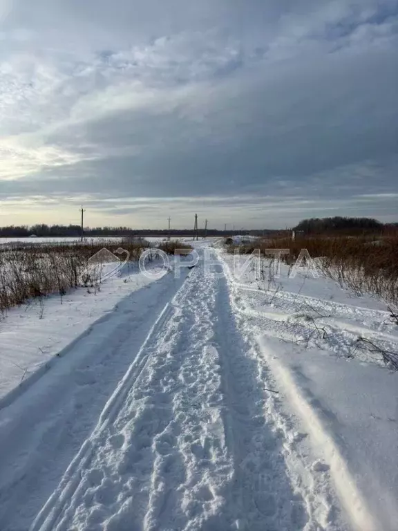 Участок в Тюменская область, Тюменский район, с. Горьковка Сибирская ... - Фото 0