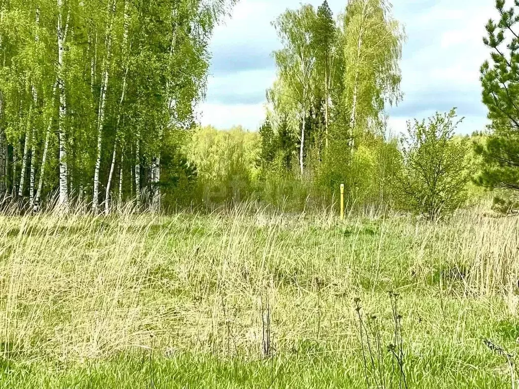 Участок в Владимирская область, Ковровский район, Ивановское с/пос, с. ... - Фото 1