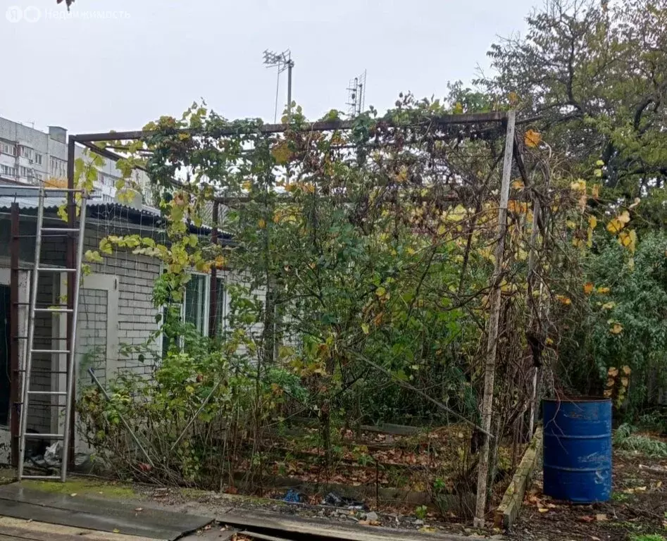 Участок в Смоленск, улица Ленина (6.7 м) - Фото 1