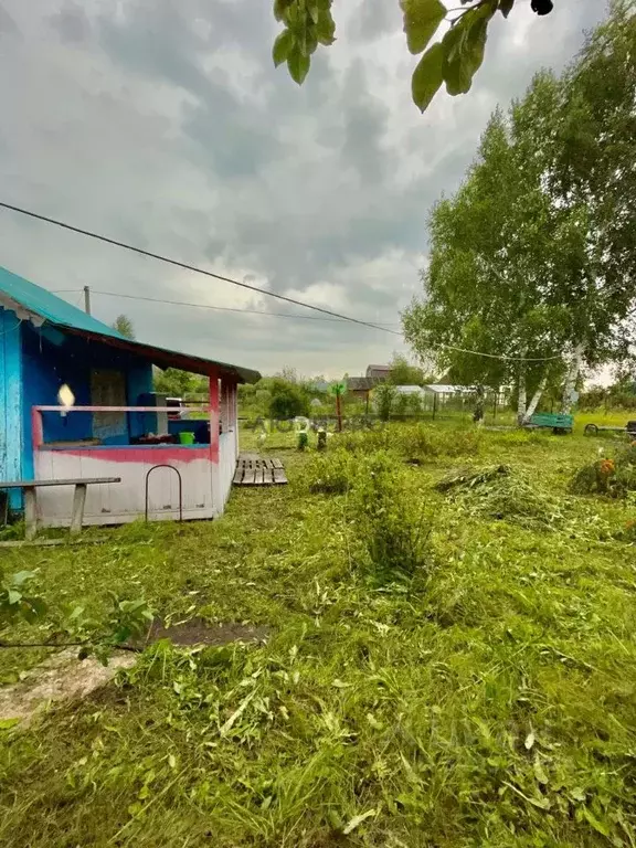Участок в Башкортостан, Кушнаренковский район, Старокамышлинский ... - Фото 2