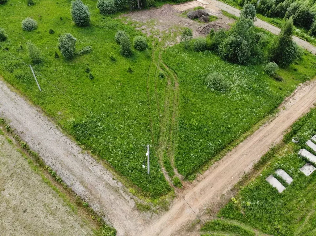 Участок в Московская область, Пушкинский городской округ, д. ... - Фото 1