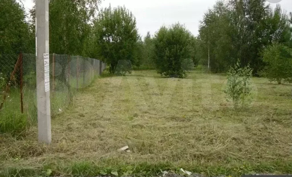 Участок 6 сот. (СНТ, ДНП) - Фото 0