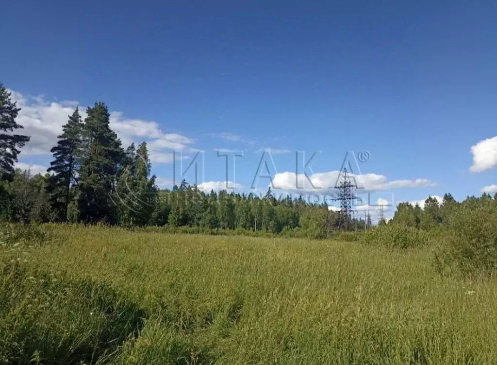 Участок в Ленинградская область, Выборгский район, Советское городское ... - Фото 0