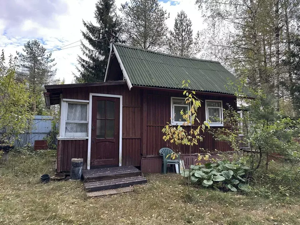 Участок в Ленинградская область, Приозерский район, Раздольевское ... - Фото 1