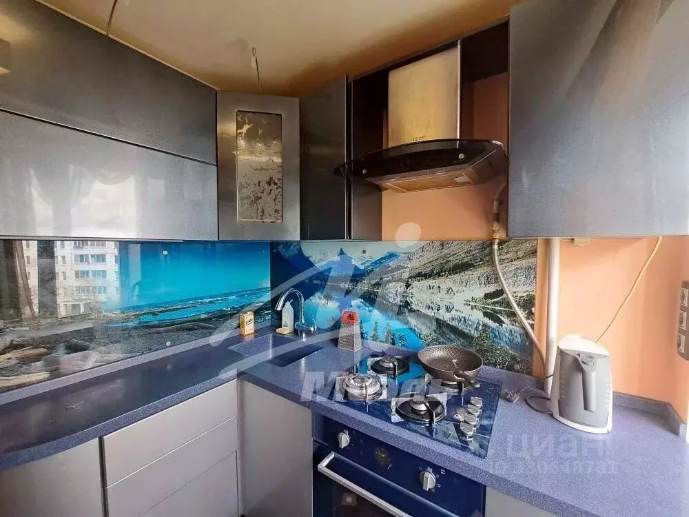 2-к кв. Москва Миллионная ул., 11К1 (60.0 м) - Фото 2