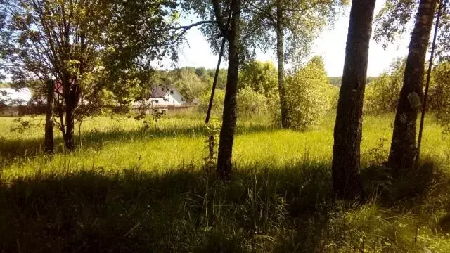 Продается участок в д. Веселево - Фото 0