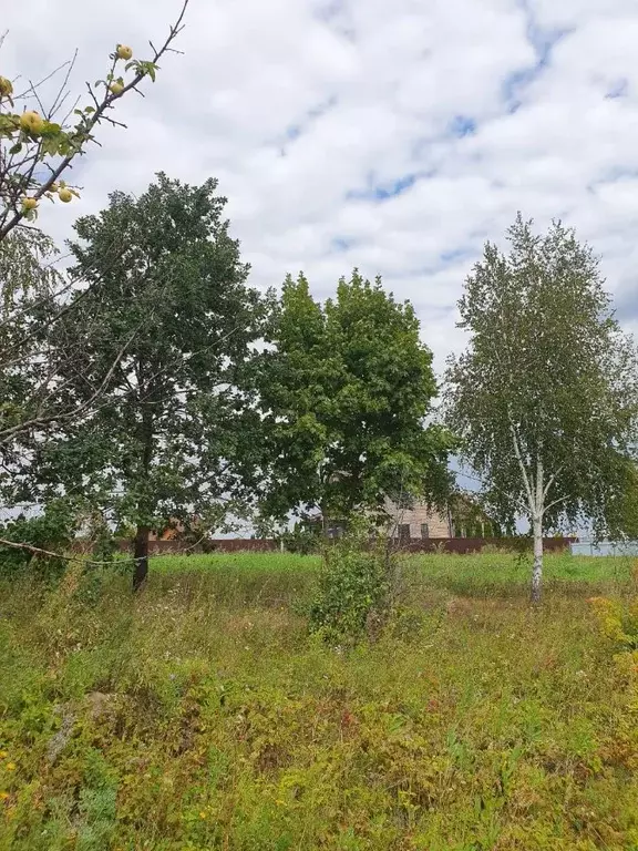 Участок в Липецкая область, с. Доброе  (30.0 сот.) - Фото 0