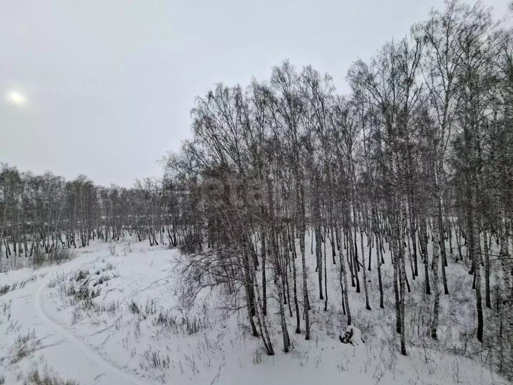 1-к кв. Челябинская область, Сосновский муниципальный округ, Поселок ... - Фото 2