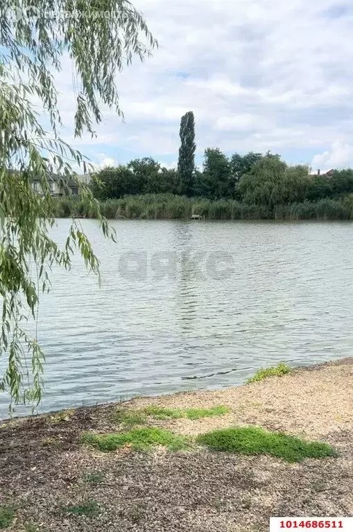 Участок в Красносельское, Школьная улица, 1/8 (16.93 м) - Фото 1