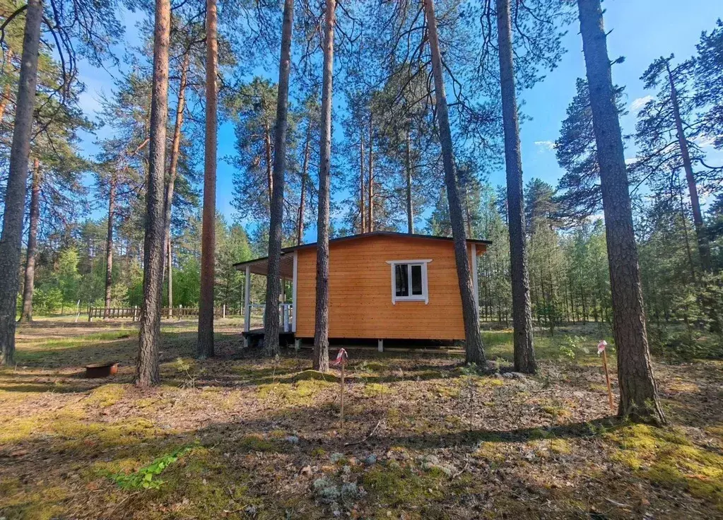 Дом в Карелия, Олонецкий район, Коверское с/пос, д. Нурмолицы  (36 м) - Фото 1