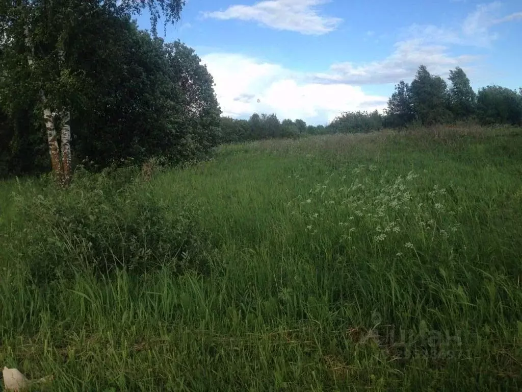 Участок в Ярославская область, Переславль-Залесский городской округ, ... - Фото 0