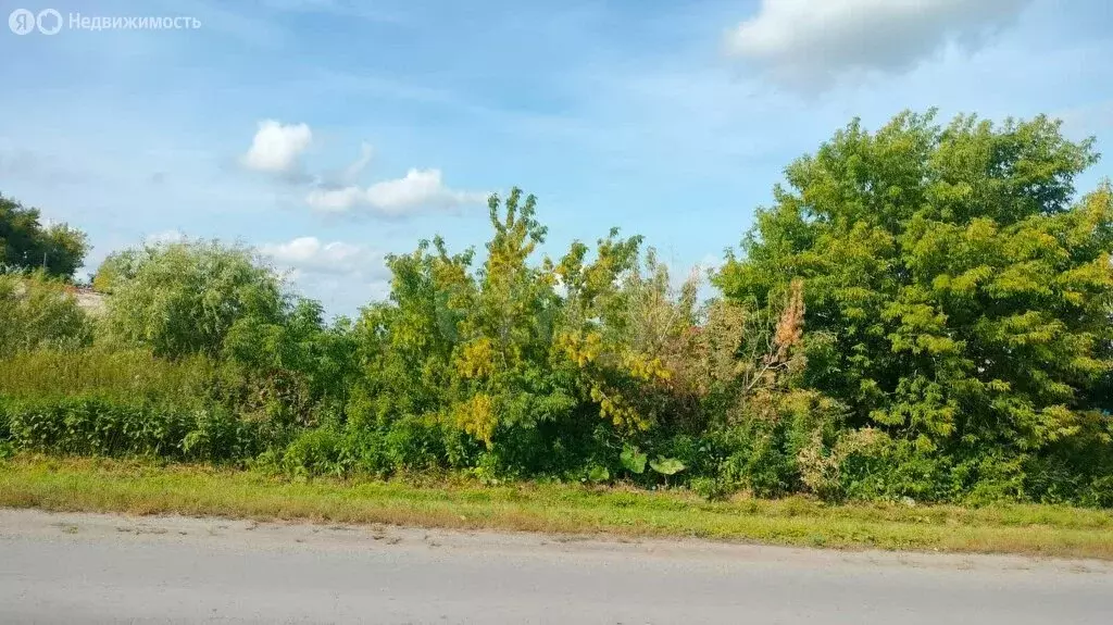 Участок в Туринск, улица Гагарина (5.19 м) - Фото 1