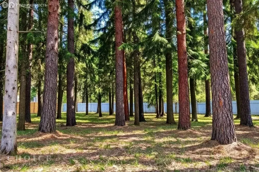 Участок в Одинцовский городской округ, посёлок Николина Гора (42 м) - Фото 2