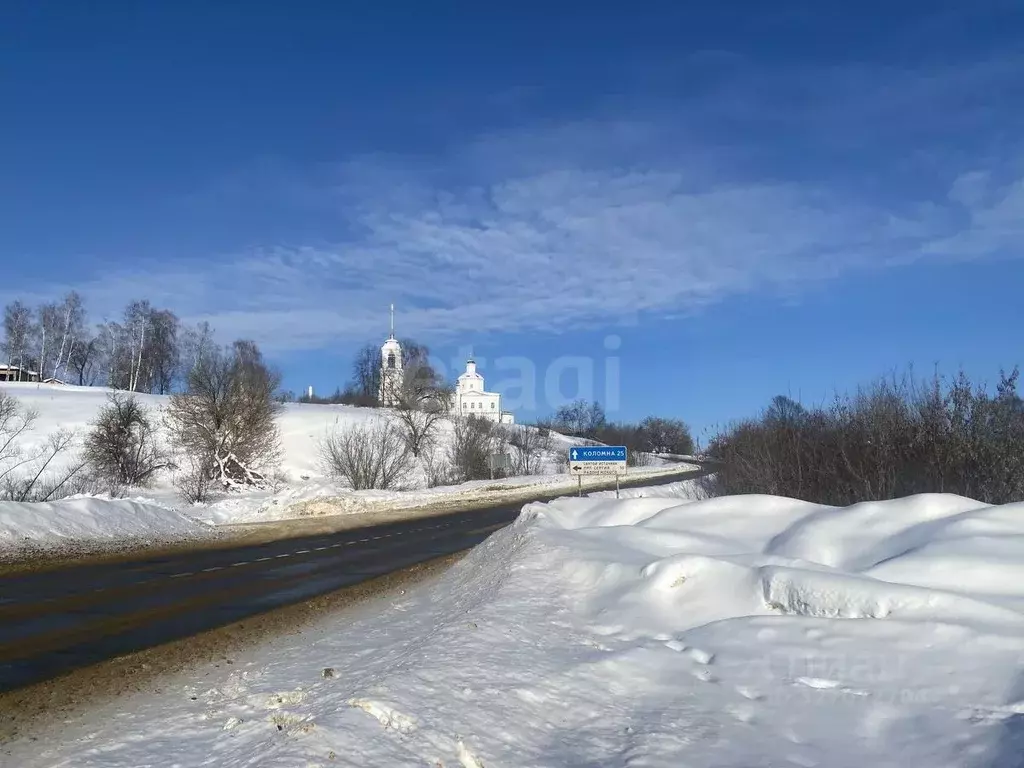 Участок в Московская область, Коломна городской округ, с. Горы ул. ... - Фото 0