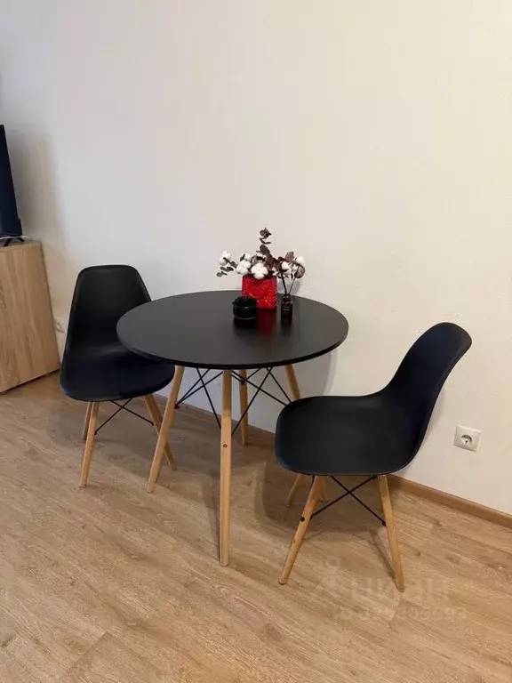 Студия Санкт-Петербург просп. Ветеранов, 173к7 (23.7 м) - Фото 1