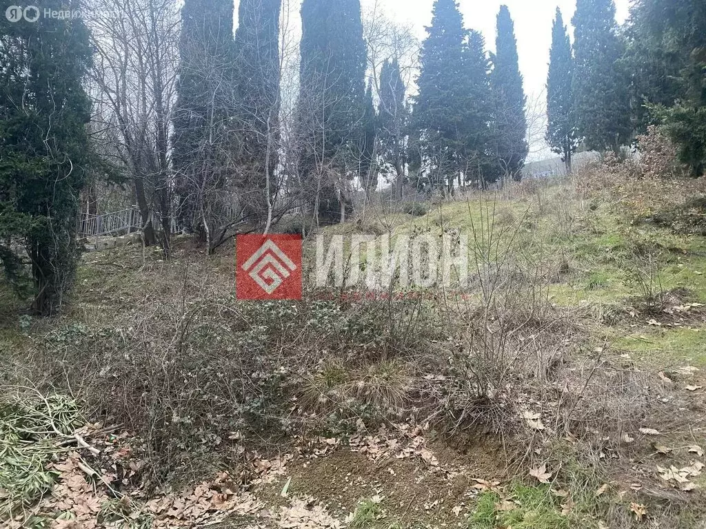 Участок в Ялта, Ялыбойская улица (4.85 м) - Фото 2
