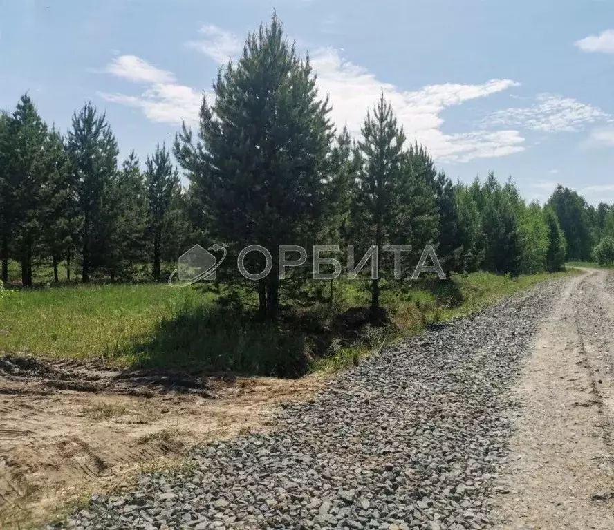 Участок в Тюменская область, Тюменский район, Новокаменский кп ул. ... - Фото 1