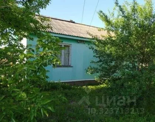 Дом в Саратовская область, Петровский район, Березовское муниципальное ... - Фото 2