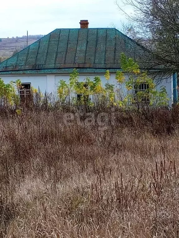 Дом в Воронежская область, Рамонский район, с. Большая Верейка ... - Фото 1