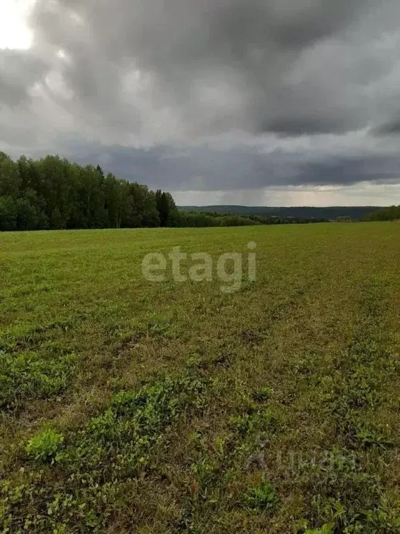 Участок в Свердловская область, Сысертский муниципальный округ, ... - Фото 1