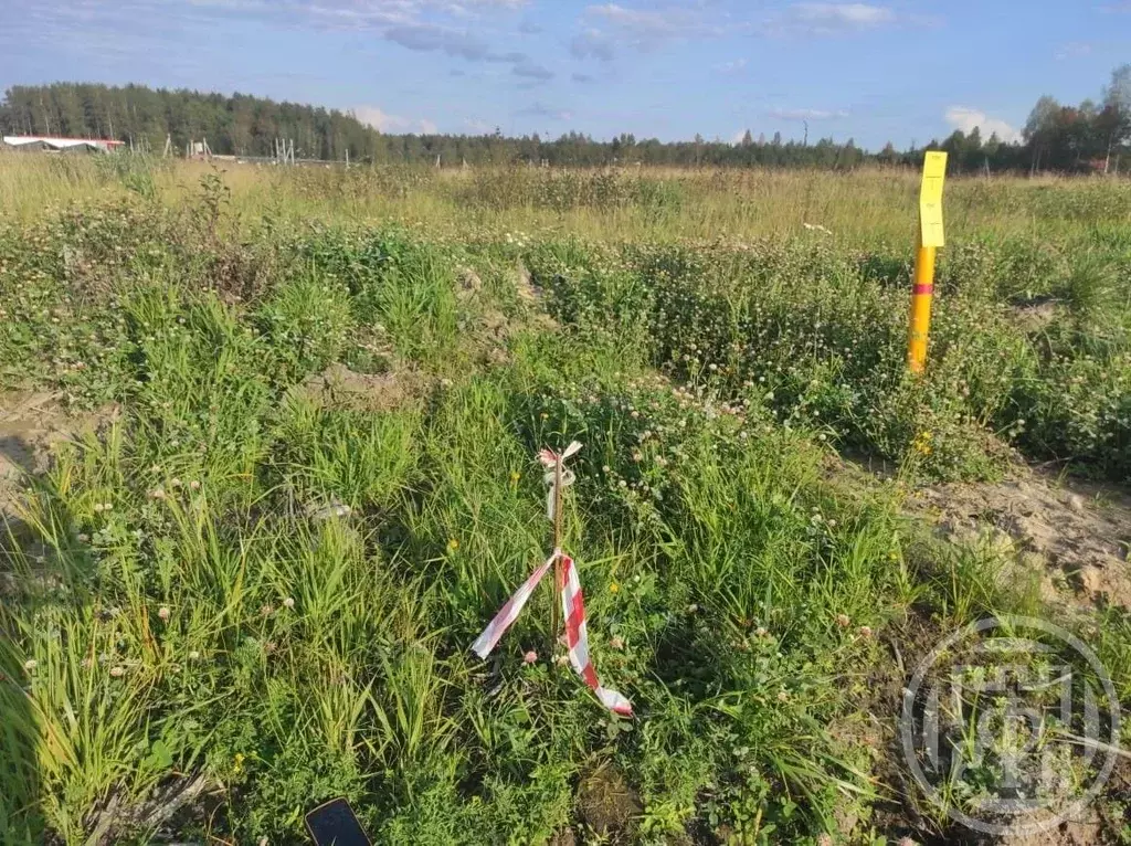 Участок в Ленинградская область, Всеволожский район, Колтушское ... - Фото 2
