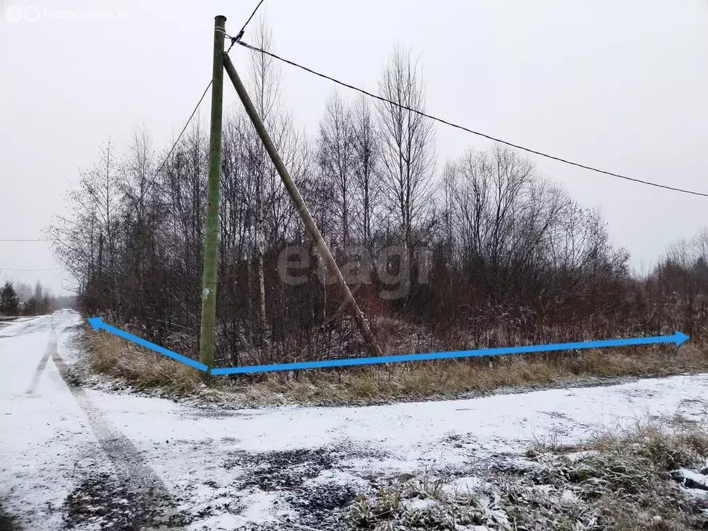 Участок в Пчёвжинское сельское поселение, ДНП Белая Дача (17 м) - Фото 2