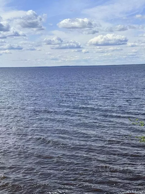 Участок в Нижегородская область, Сокольский муниципальный округ, с. ... - Фото 2