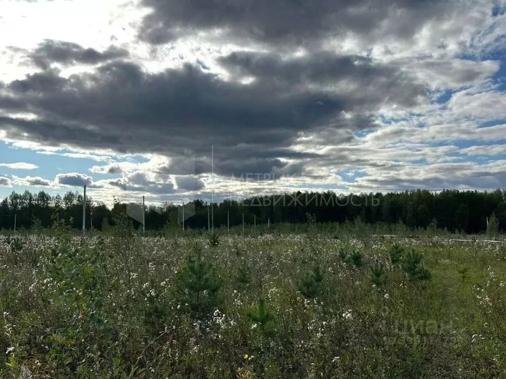 Участок в Тюменская область, Тюменский муниципальный округ, с. Кулига, ... - Фото 1