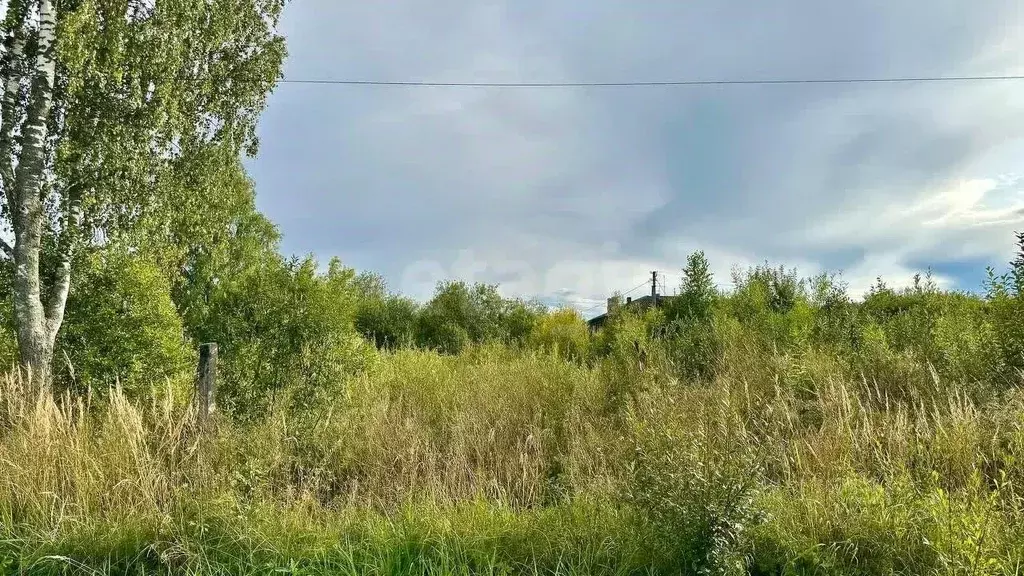Участок в Вологодская область, Череповецкий район, пос. Суда  (12.24 ... - Фото 1