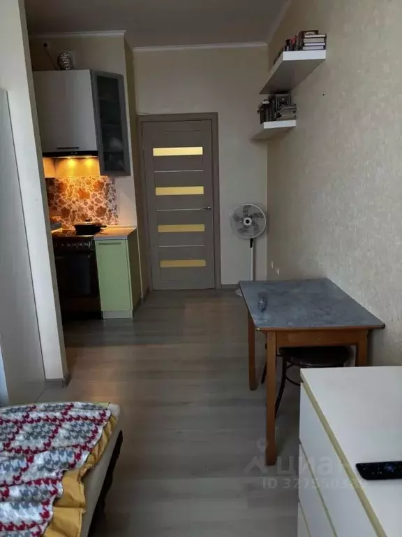 Студия Санкт-Петербург пос. Шушары, пер. Вилеровский, 6 (23.0 м) - Фото 2