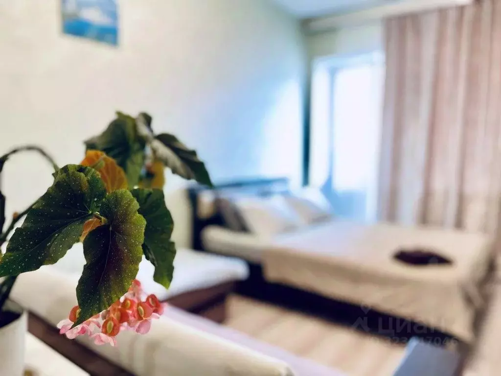 1-к кв. Орловская область, Орел Раздольная ул., 1 (33.0 м) - Фото 2