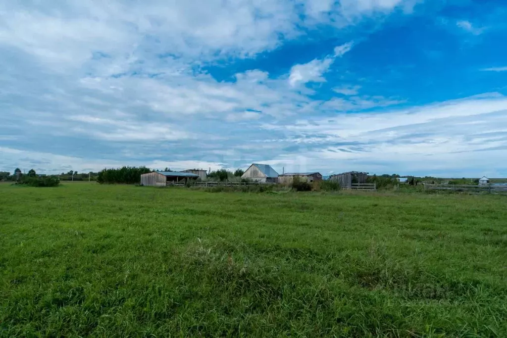 Участок в Алтайский край, Смоленский район, с. Смоленское ул. ... - Фото 1