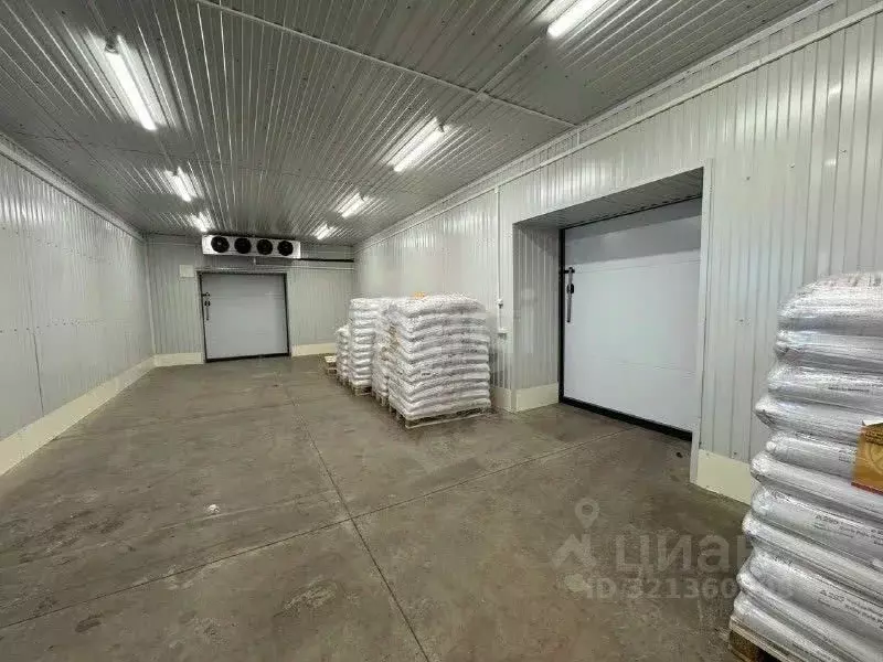 Помещение свободного назначения в Псковская область, Псков ... - Фото 1