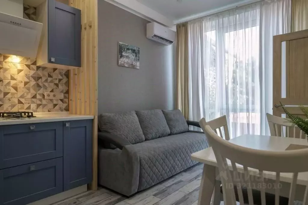 1-к кв. Краснодарский край, Сочи ул. Ленина, 219/8к4 (35.0 м) - Фото 1