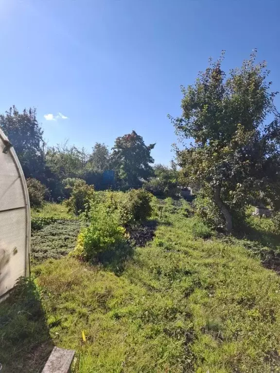 Дом в Челябинская область, Челябинск Энергосад-2 СНТ, ул. 4-я (12 м) - Фото 1